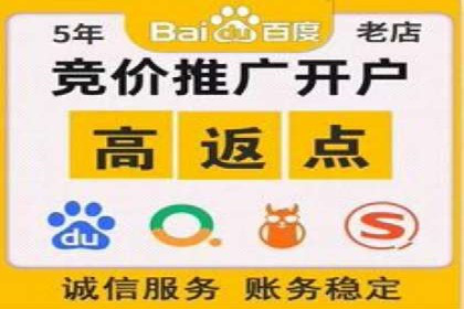 SEM推广公司成功案例：助力企业实现品牌多元化发展